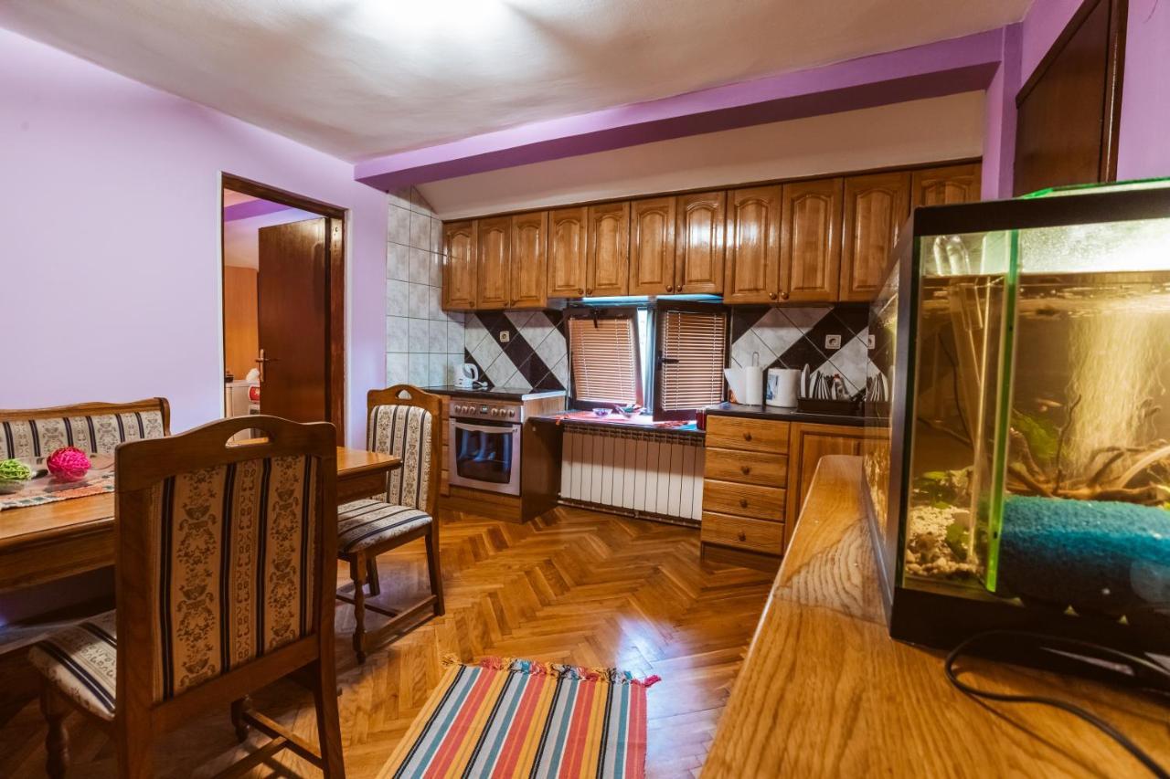 Laufer Hostel Novi Sad Exterior photo
